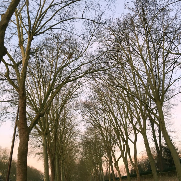 Jogging avenue de Paris (15)