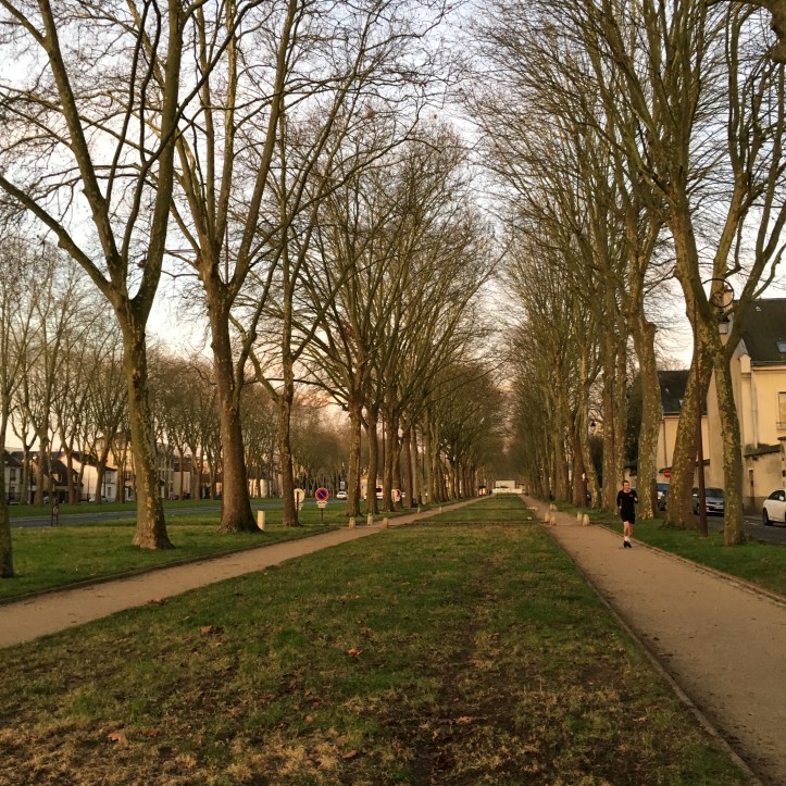 Jogging avenue de Paris (7)