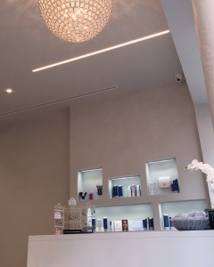 Boudoir du Regard - Versailles © Corinne Martin-Rozès (7)