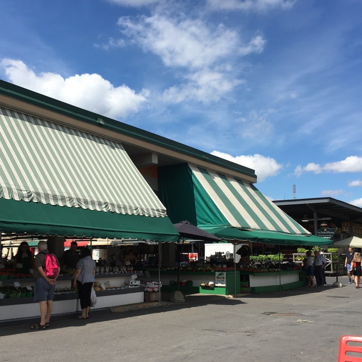 marche-jean-talon_montreal-corinne-martin-rozes-17