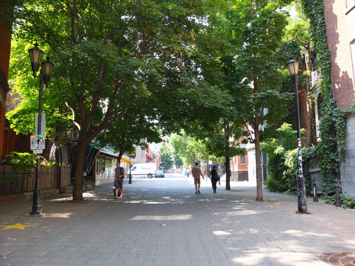 montreal-saint-louis-corinne-martin-rozes-8