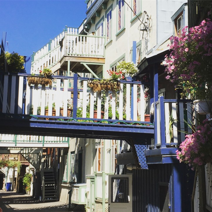vieux-quebec-corinne-martin-rozes-20