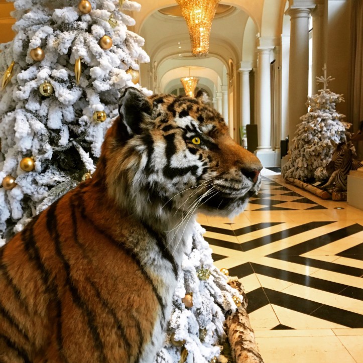 trianon-palace-bar-galerie-corinne_martin-rozes-5