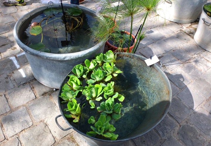 Esprit_Jardin_2017_Versailles © Corinne_ Martin_Rozes (147)